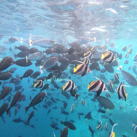 Pearl Sands Of Maldives Huraa Luaran gambar