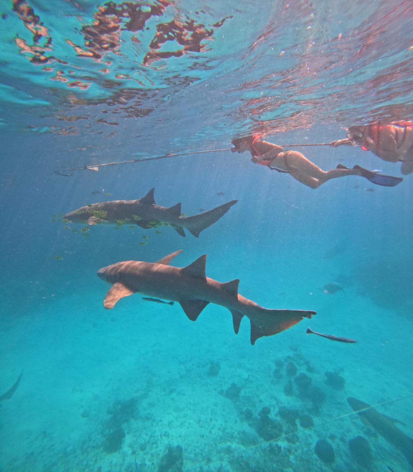 Pearl Sands Of Maldives Huraa Luaran gambar