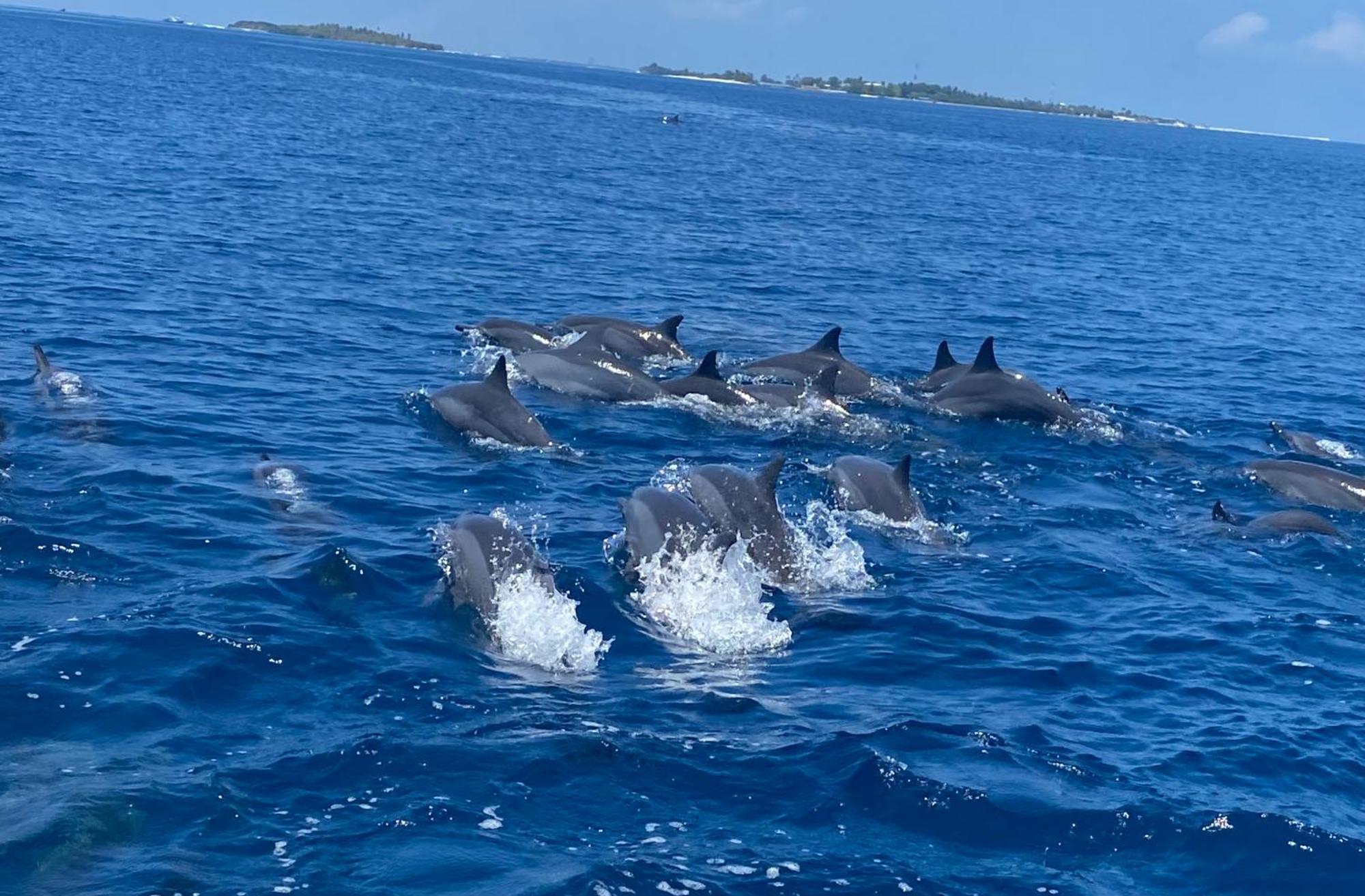 Pearl Sands Of Maldives Huraa Luaran gambar